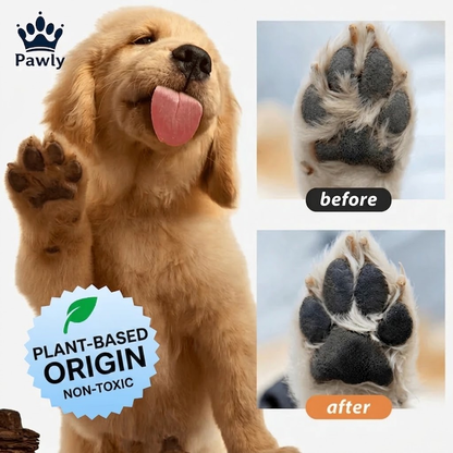 Pet hygiene foam-Rinse-free sanitizing foam for pets